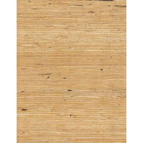 LOFTY: SZT-0117 - Concord Hue