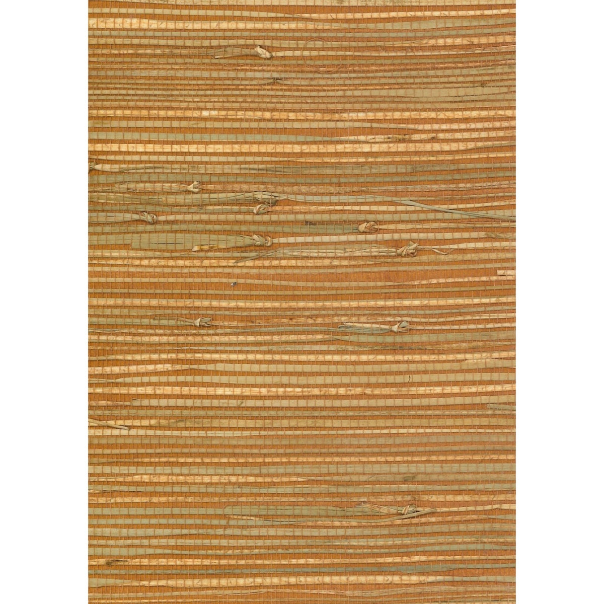HIGH-FAULTING: SZT-0127 - Rumba Orange