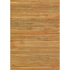 Rumba Orange