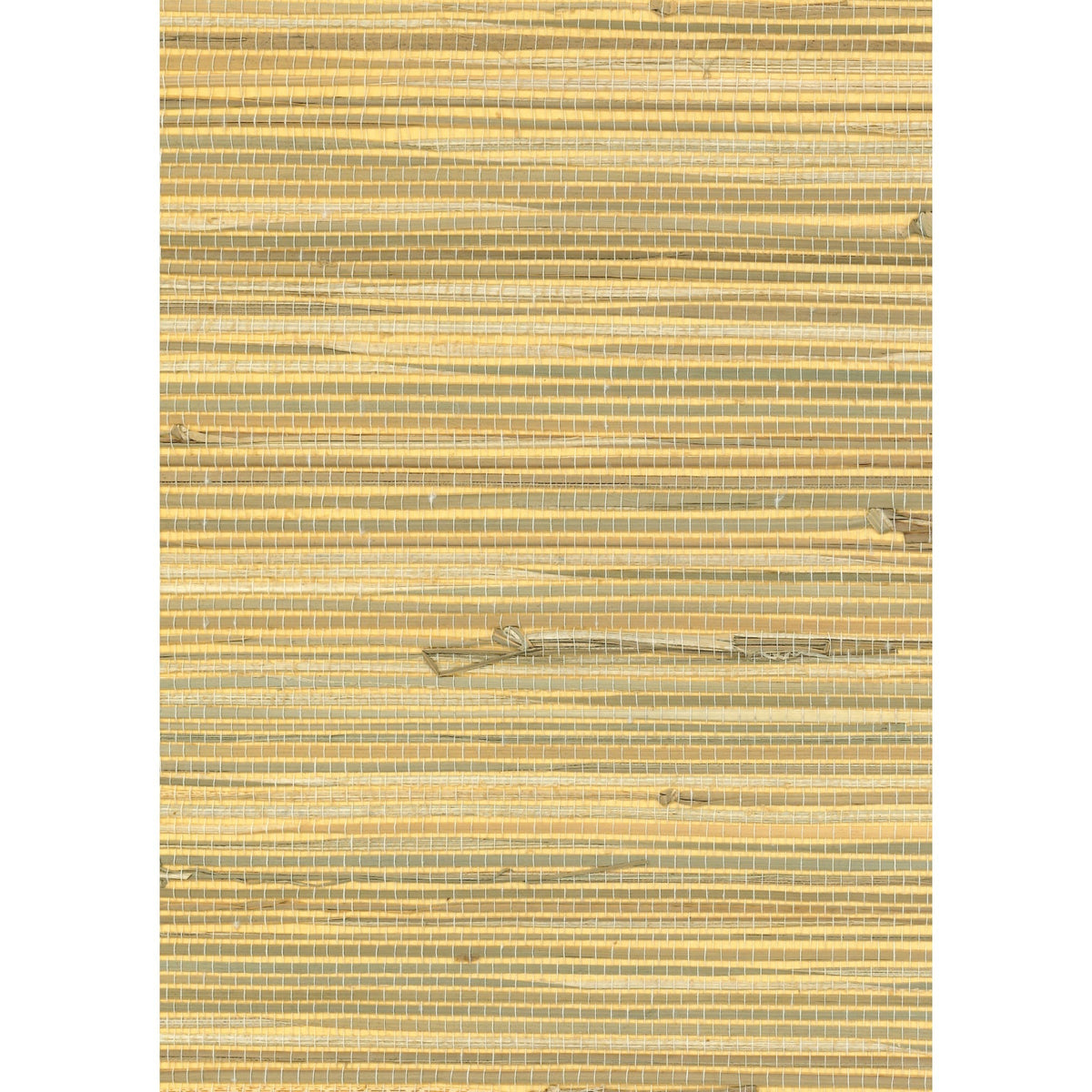 HIGH-FAULTING: SZT-0129 - Gingersnaps