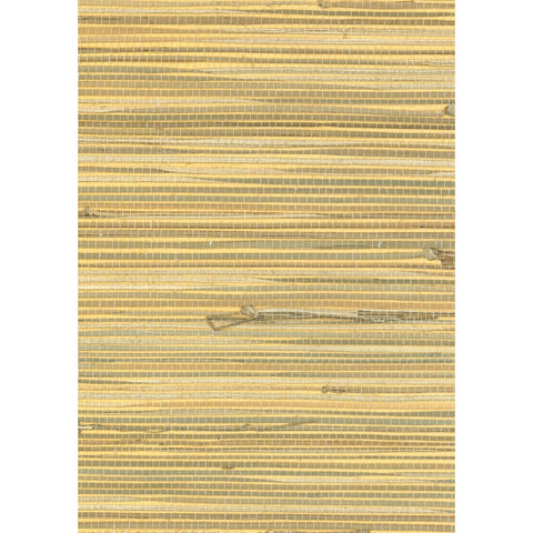 HIGH-FAULTING: SZT-0129 - Gingersnaps