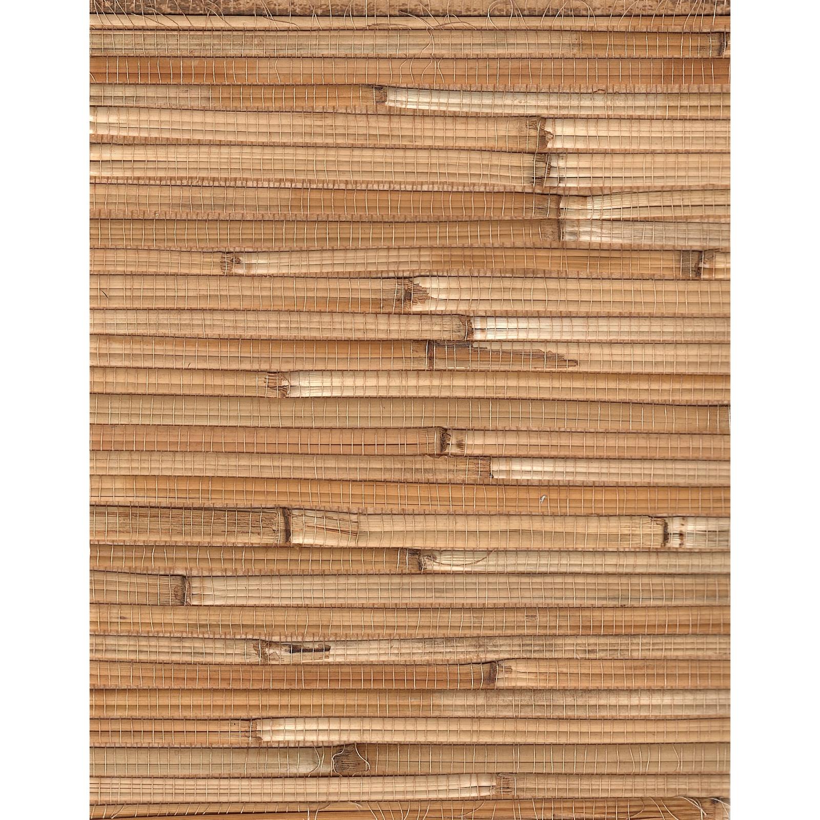 Bamboo