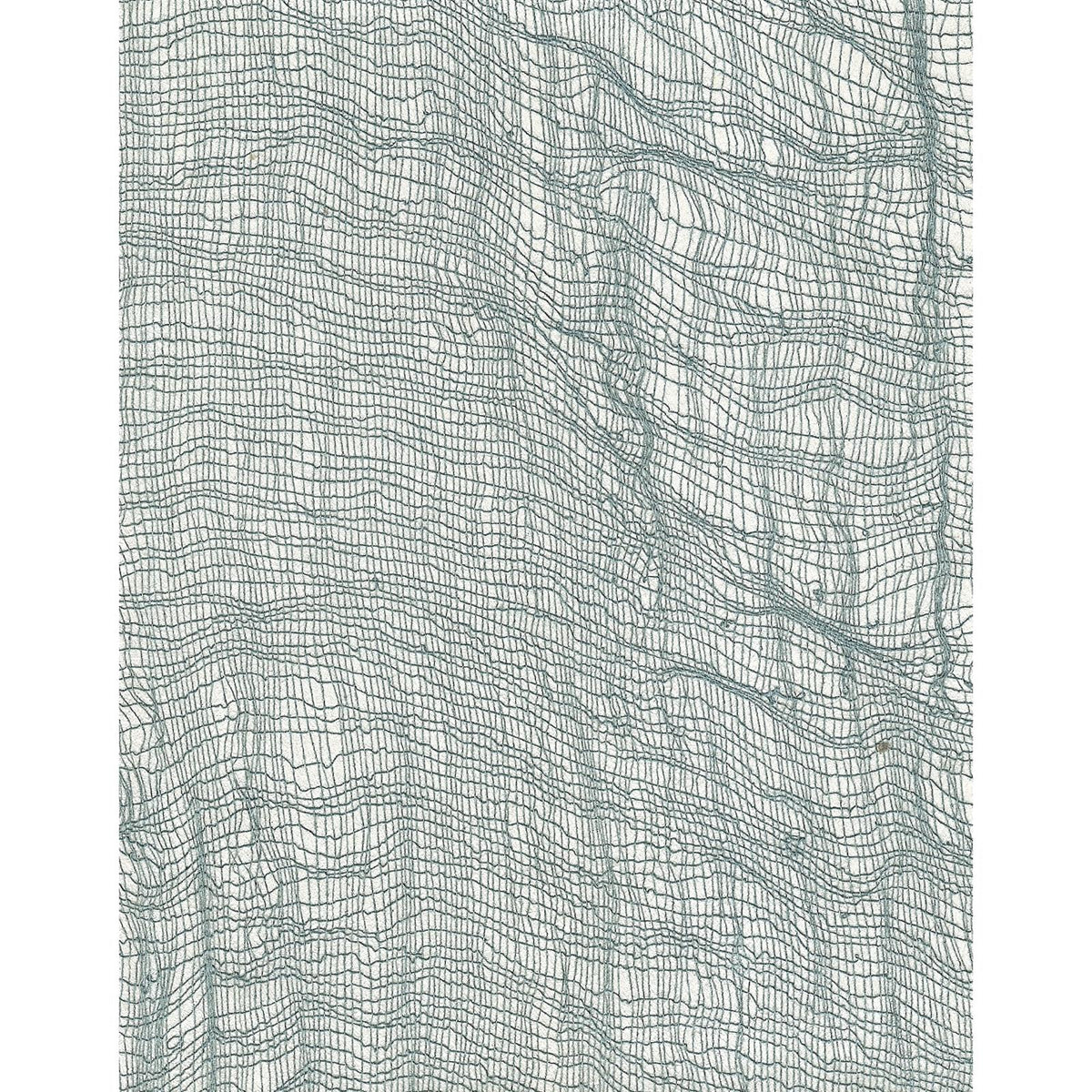 Color  Out Of The Lines: Crisp — SZY-0206