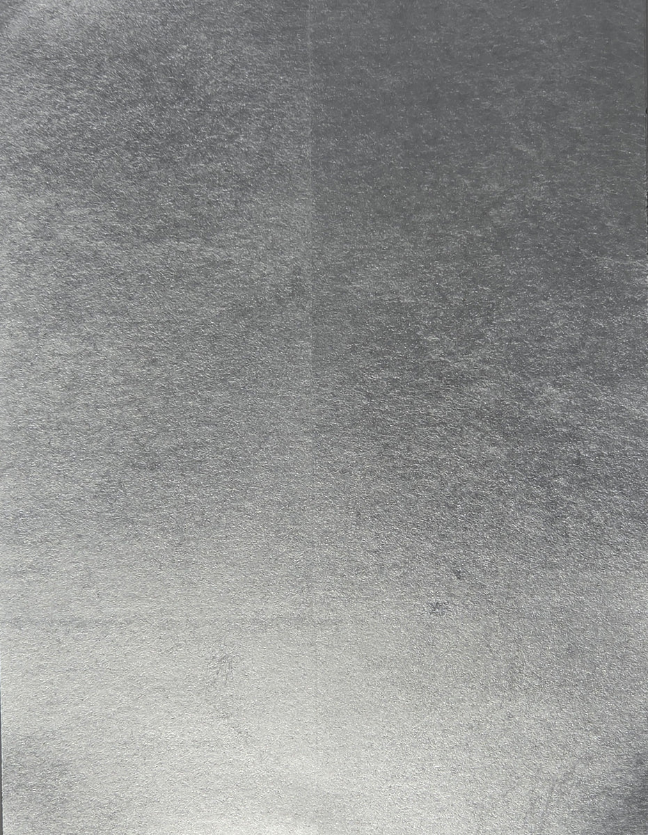 Metal Leaf Scattered: SZM-0466 - Silver Pieces