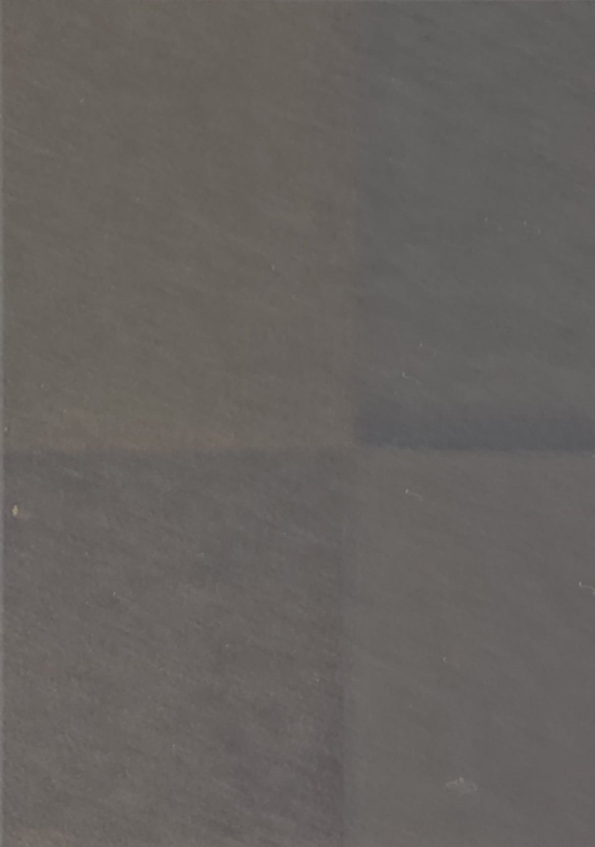 Fumigated Silver Leaf Matte SZM-0530 sample, flat