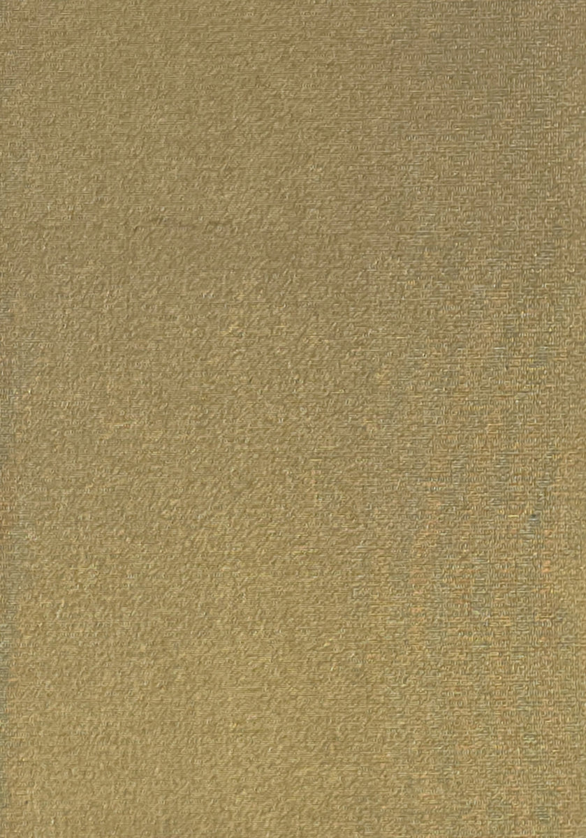 Metal Leaf Over Silk: SZM-0546 - Gold Net