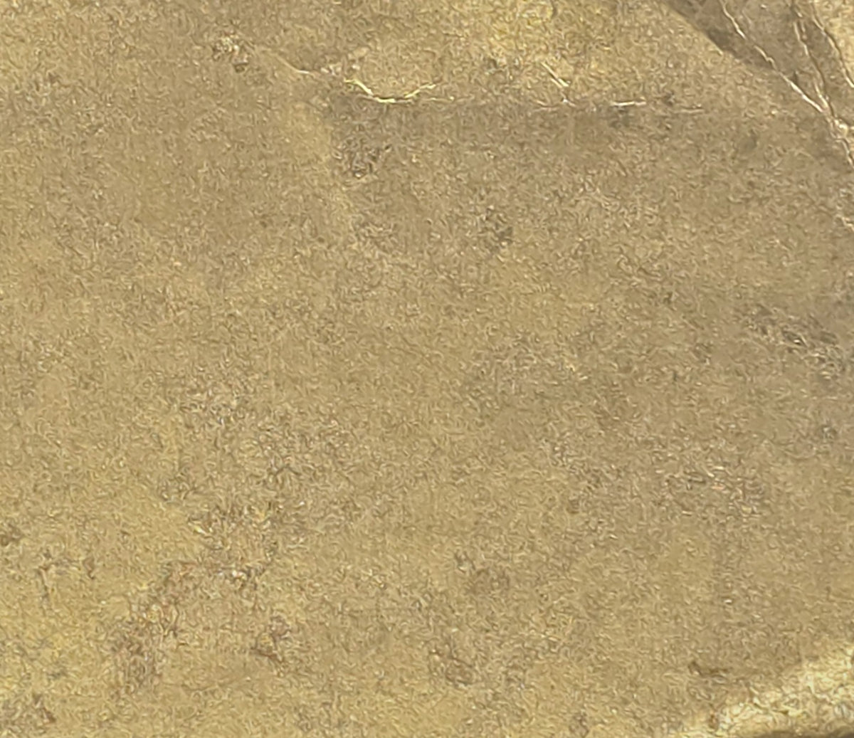 Metal Leaf Flakes SZM-0548 sample, flat