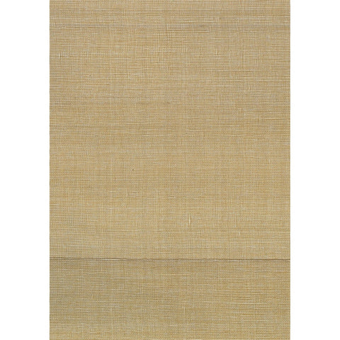 Matthew Silk: SZT-0255 - Tortilla