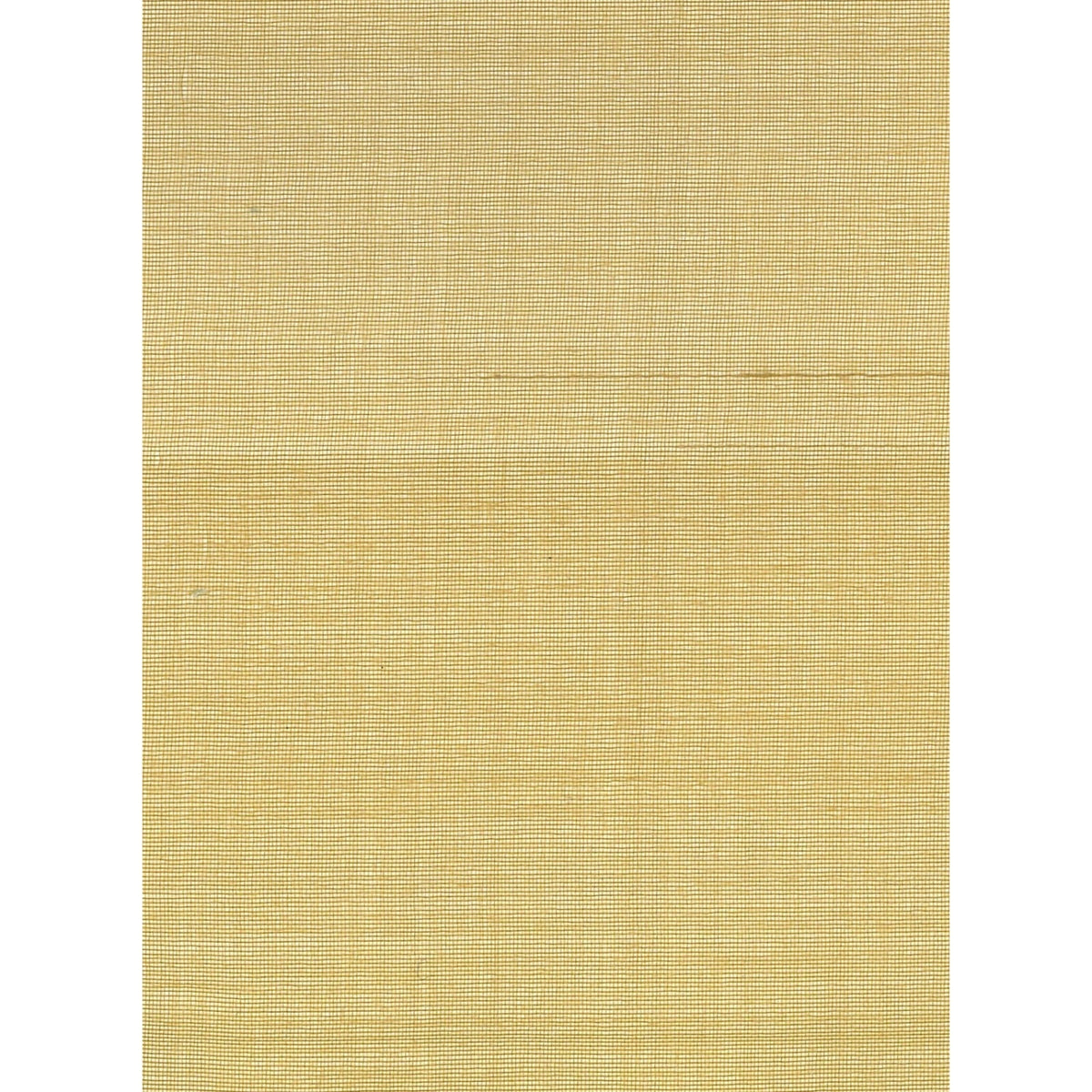 Matthew Silk: Latte — SZT-0256