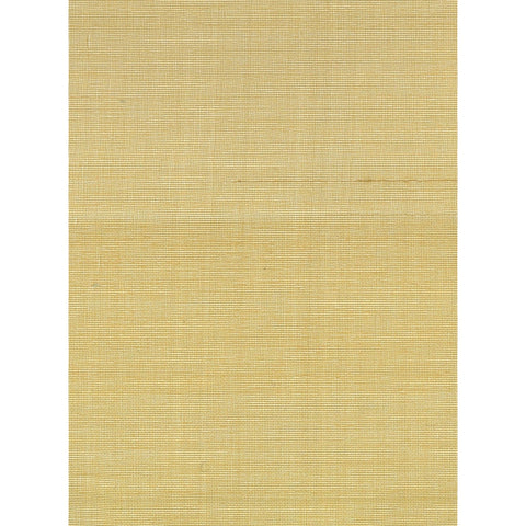 Matthew Silk: SZT-0256 - Latte