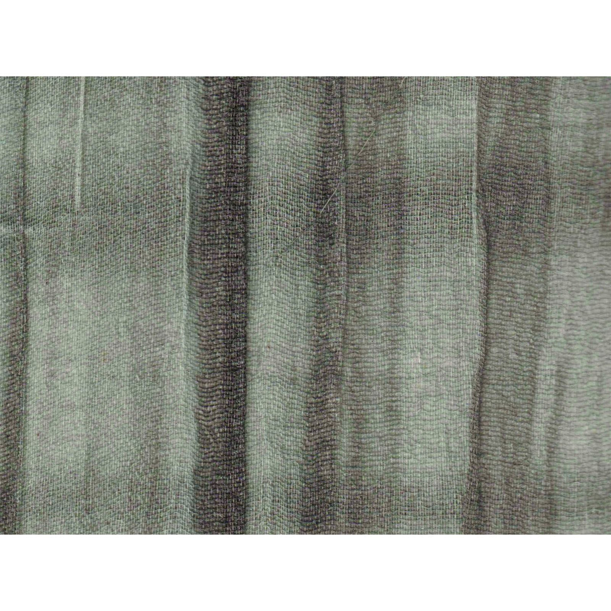 Criss-Cross in Web (SZY-0316)