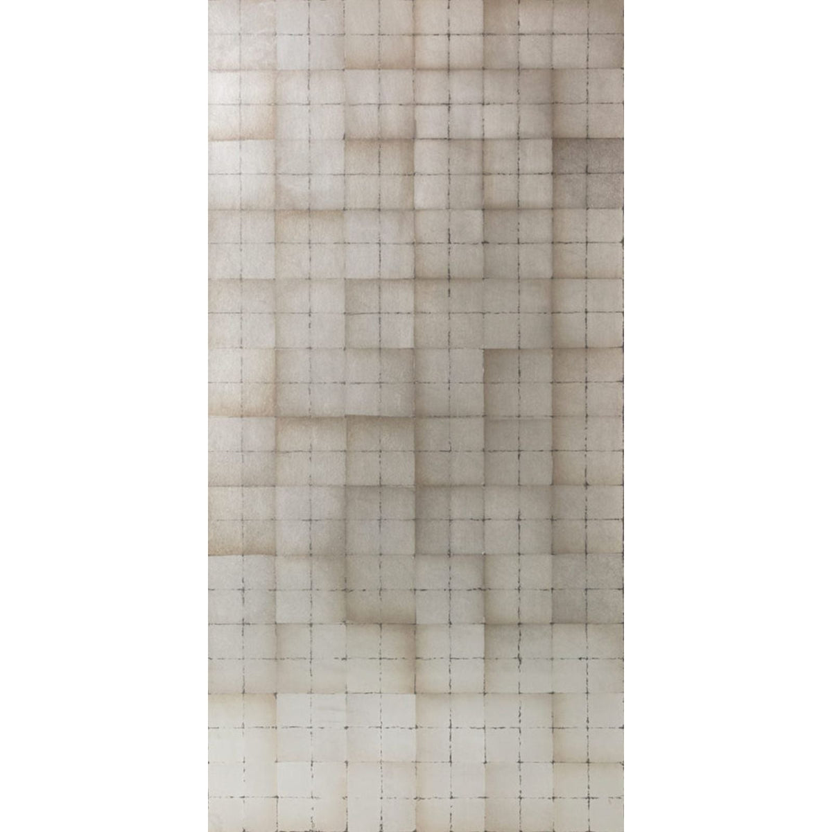 Metal Leaf Large Grid in Galena (SZM-0469), flat scan of the sample