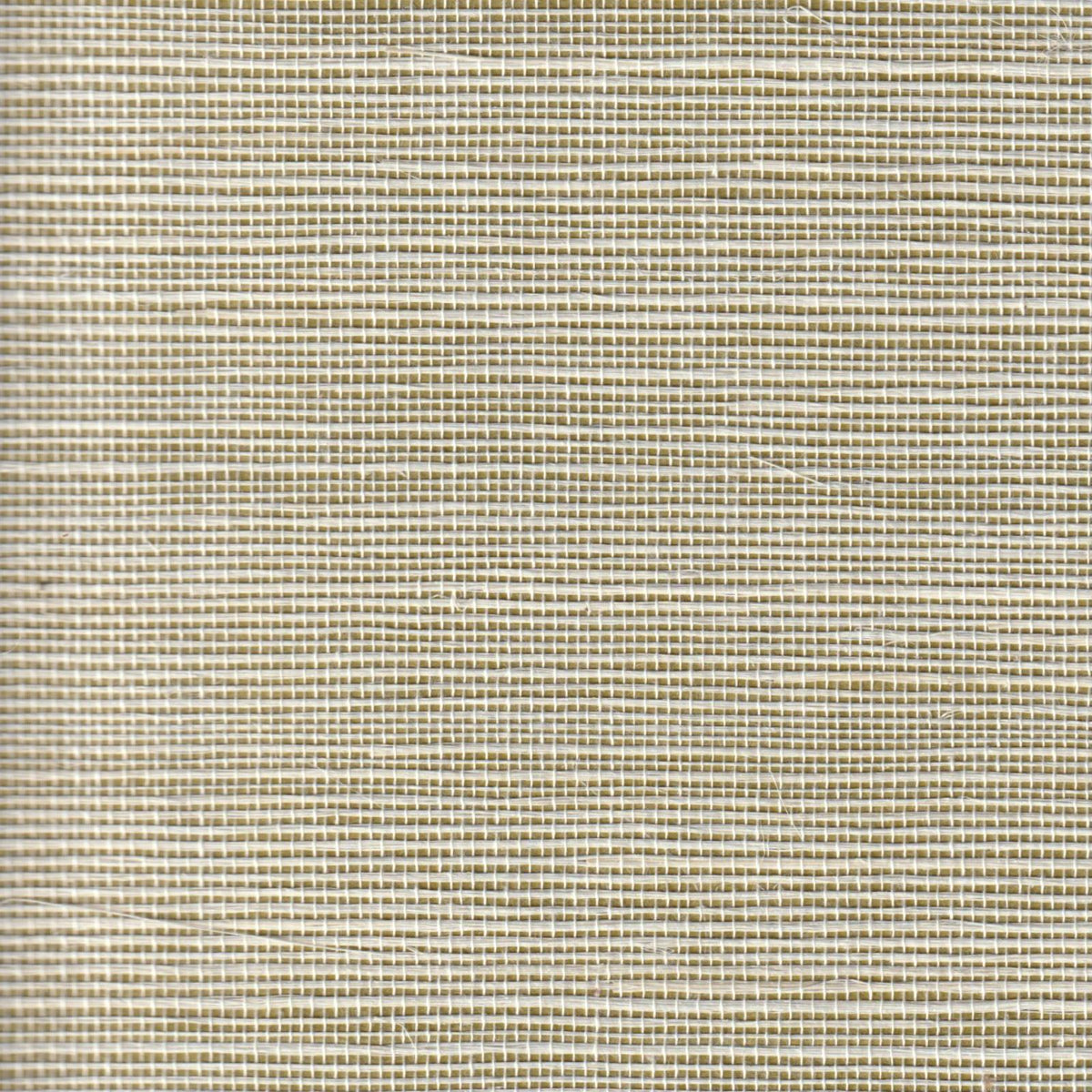 Sisal — Dark Sea Green