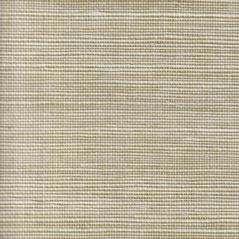 Sisal — Dark Sea Green