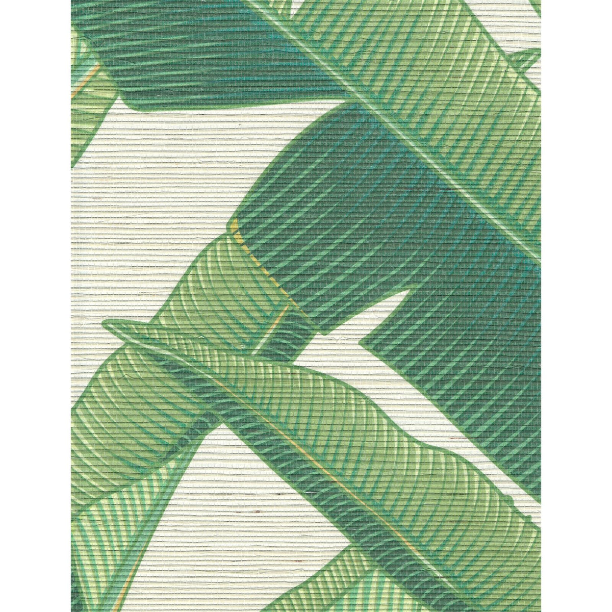 Jungle Book: St. Tropez — SZD-0032