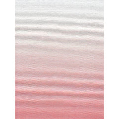 Sorbet