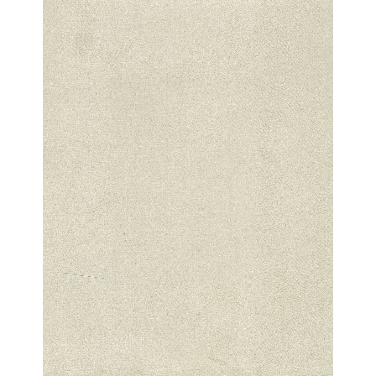 Urban Suede — Ivory