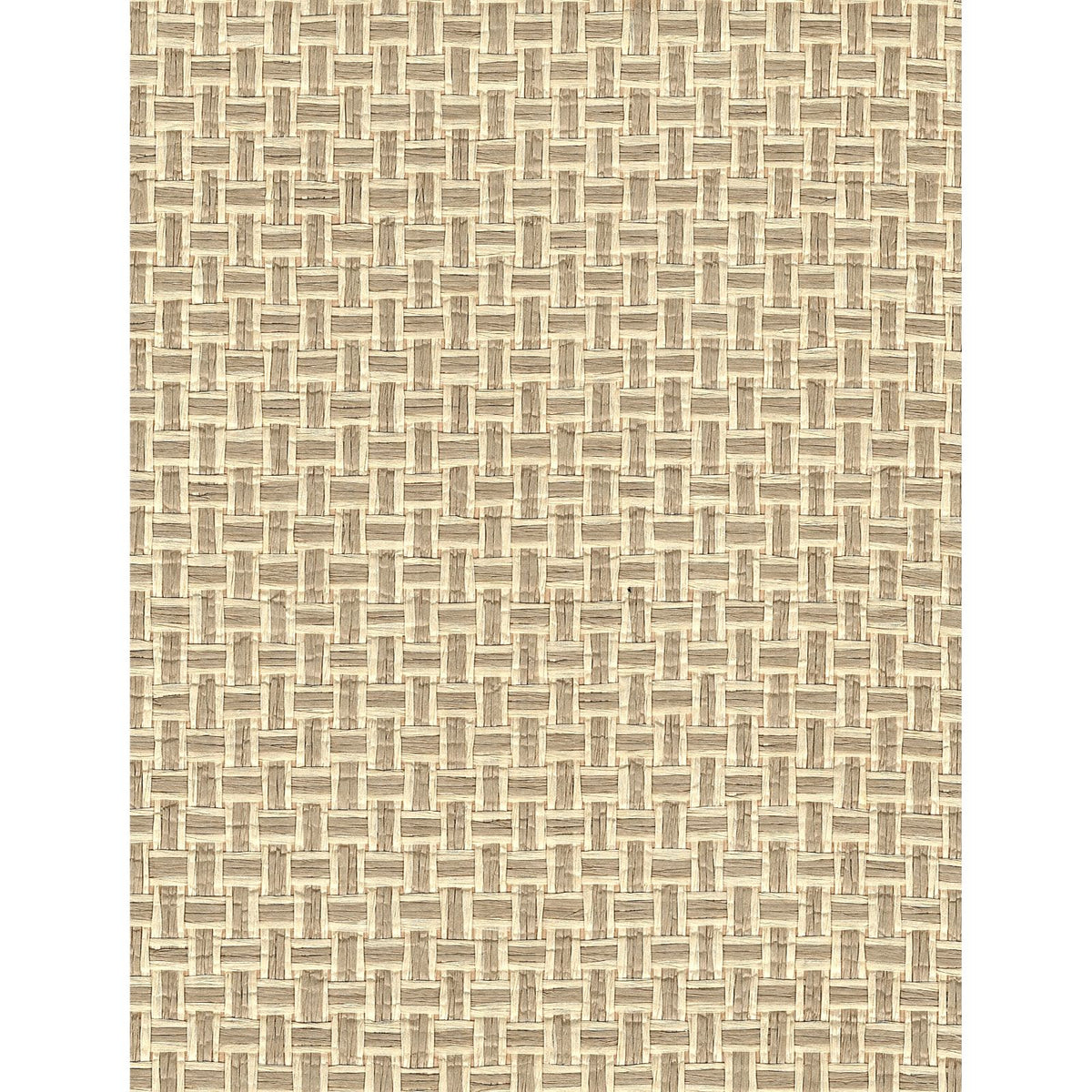 Paper Art: Reed — SZH-0407