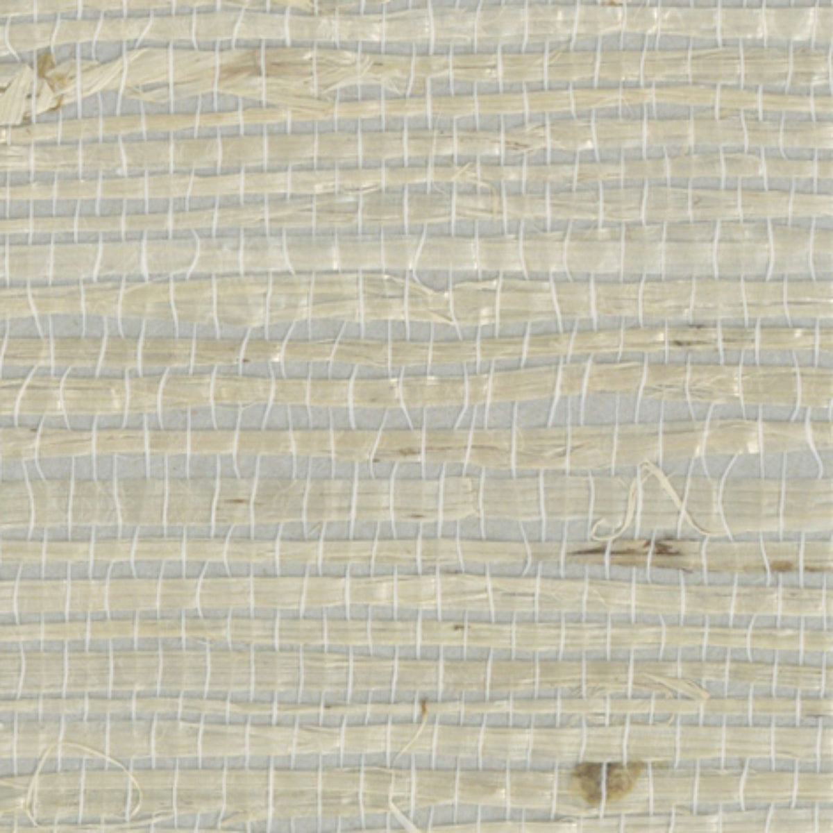 Arrowroot ll: SZH-0505 - Silver White