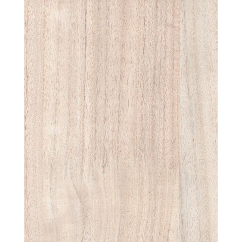Paulownia III