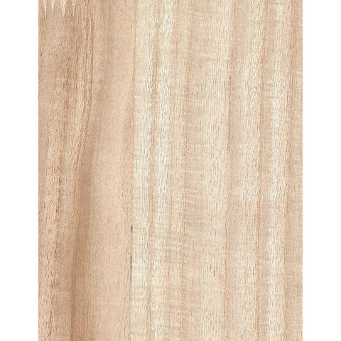 Paulownia III: SZH-1102 - Primary Color