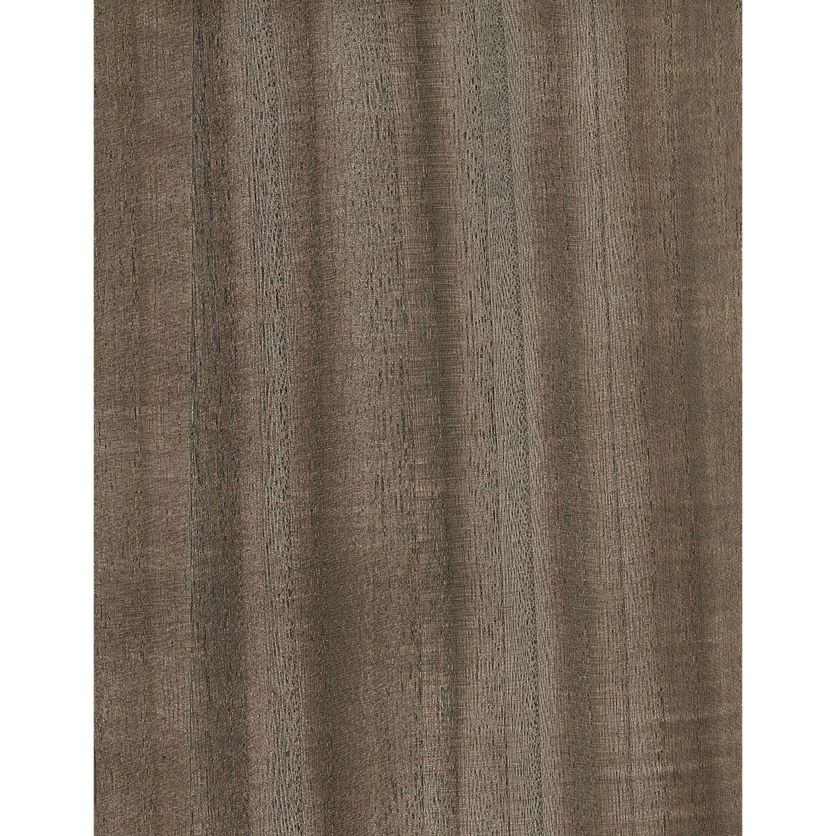 Paulownia III: White Pepper — SZH-1103