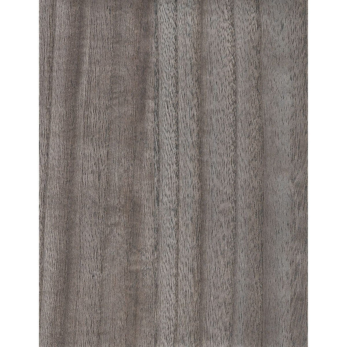 Paulownia III: Charcaal Gray — SZH-1104