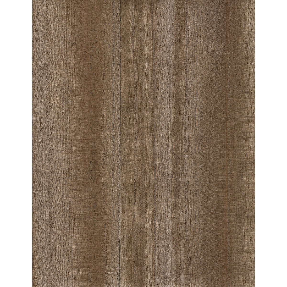Paulownia III: Brown Sugar — SZH-1105