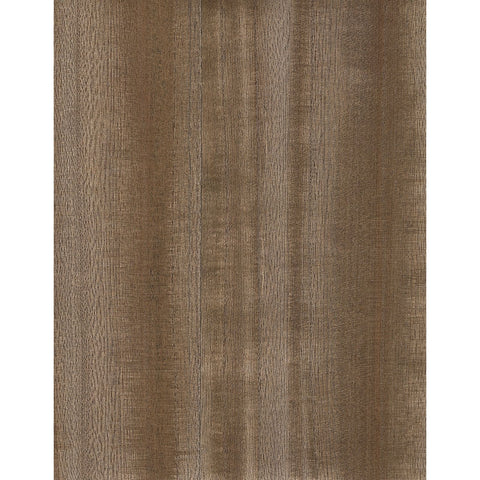 Paulownia III: SZH-1105 - Brown Sugar