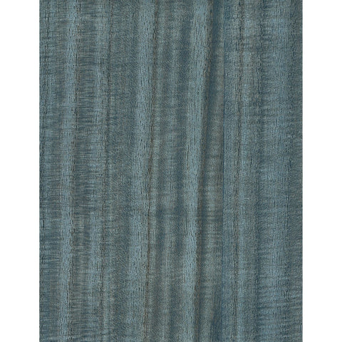Paulownia III: SZH-1107 - Balsam Green