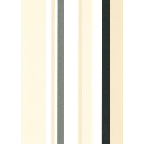 Multi Stripe: SZN-0052 - Black & Cream