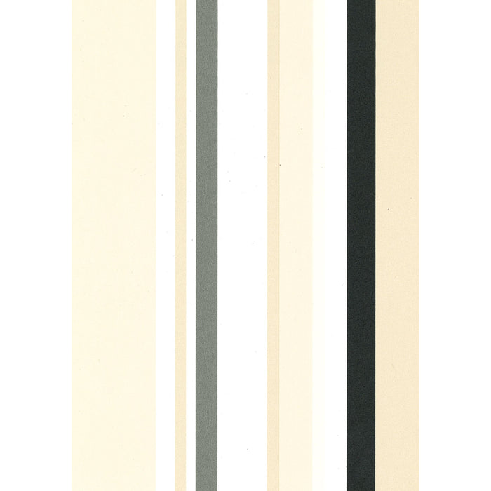 Multi Stripe