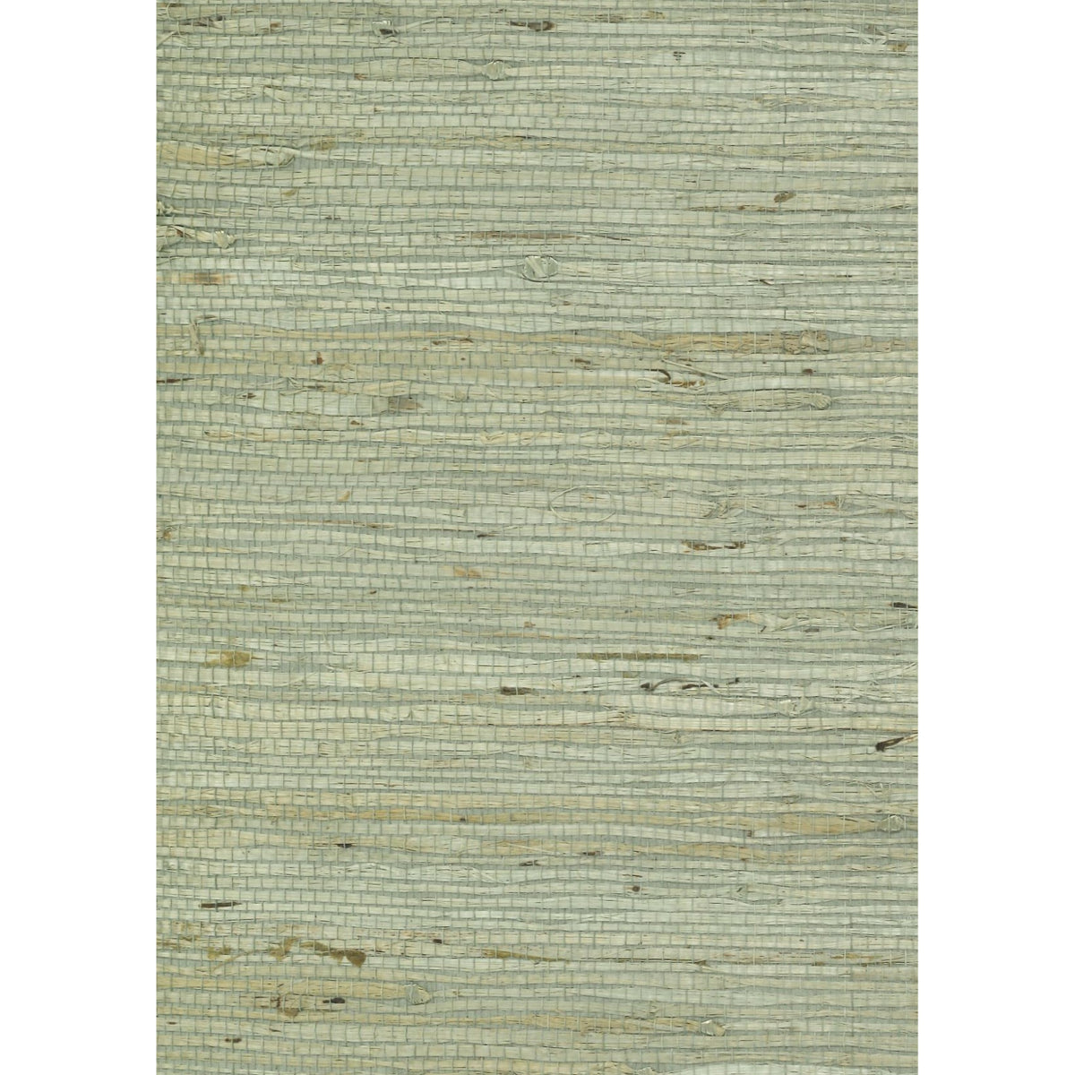 Arrowroot Super Fine: SZP-0009 - Artichoke