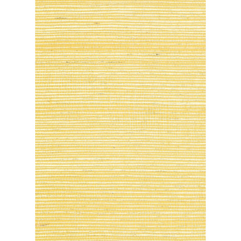 Sisal & Metal Back