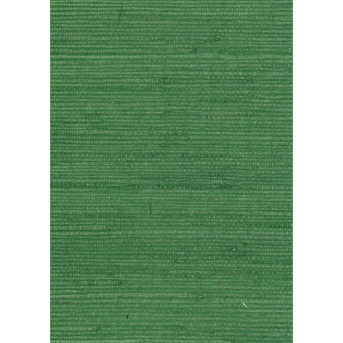 Country Side — Alligator