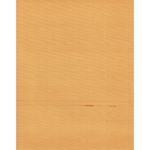 Joan Silk: SZT-0050 - Mandarin Orange