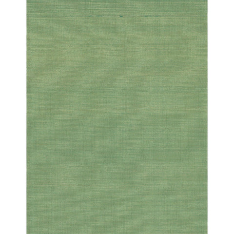 Joan Silk: SZT-0056 - Kiwi