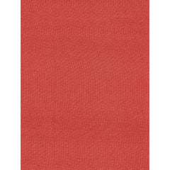 Festive Orange