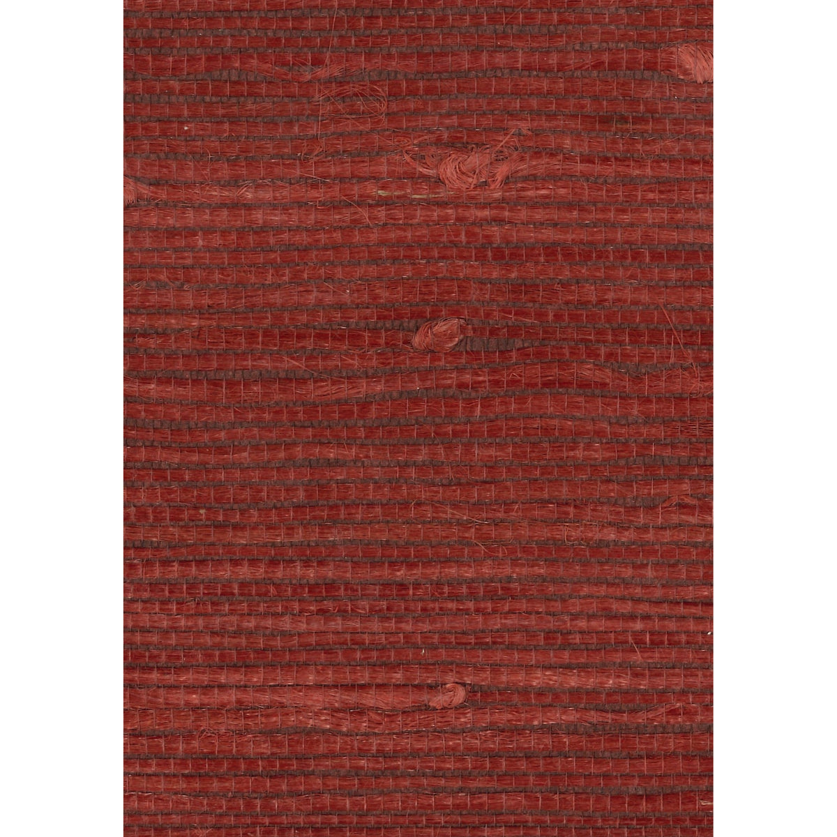 SHARP — Chili Pepper