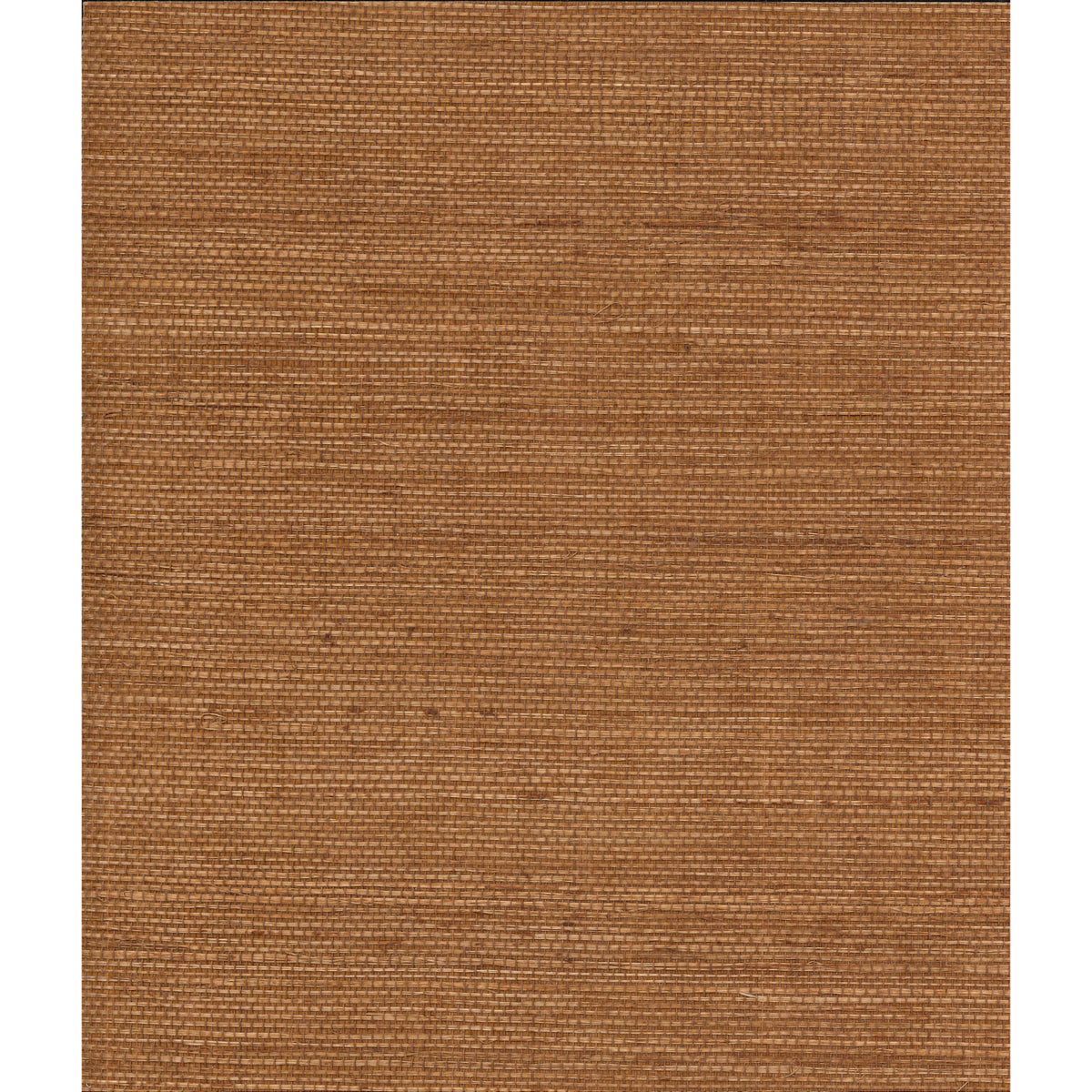 Discerning Walls: Buttered Yam — SZT-0216