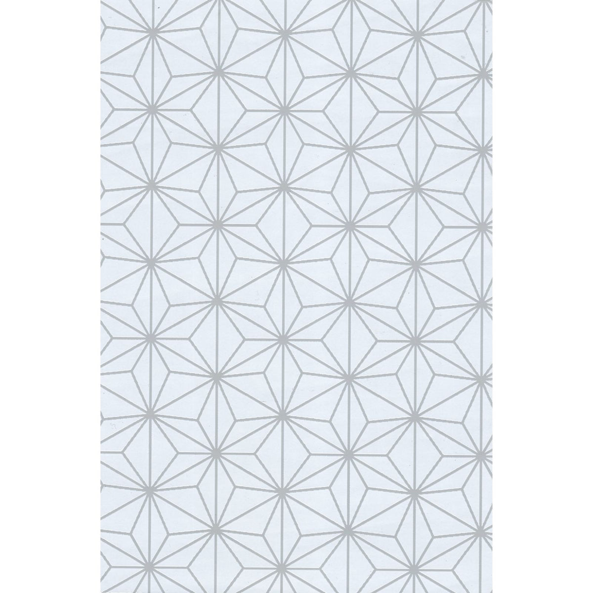 Pinebull Star — White