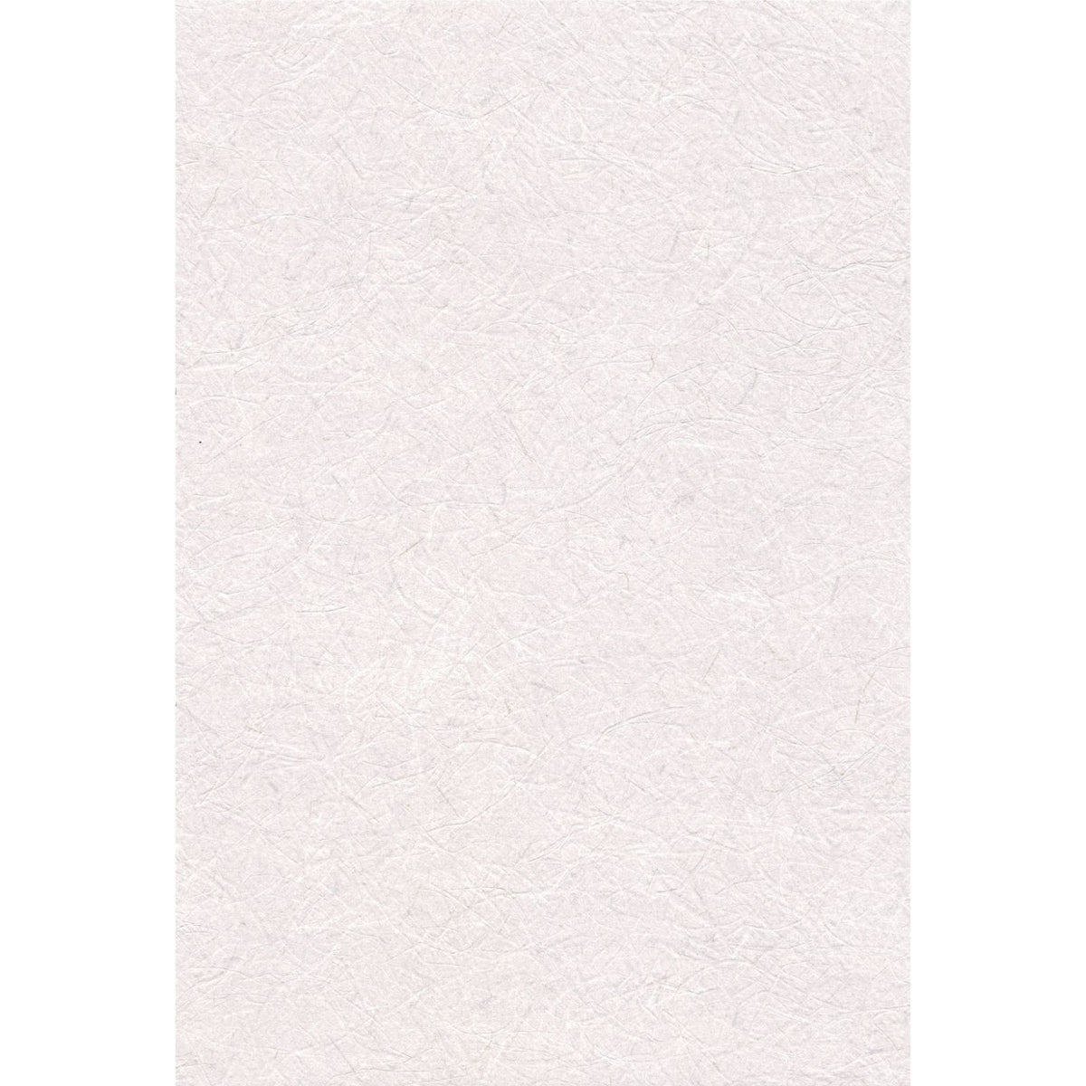 Pinebull Washi — White