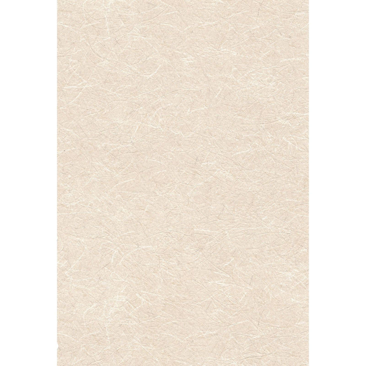Pinebull Washi: Beige — SZT-0289