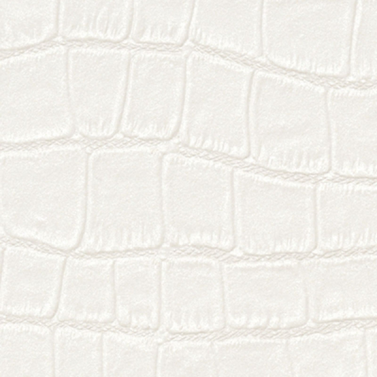 Alligator: SZT-0301 - Pure White