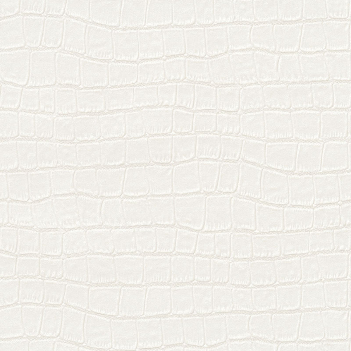 Alligator — Pure White