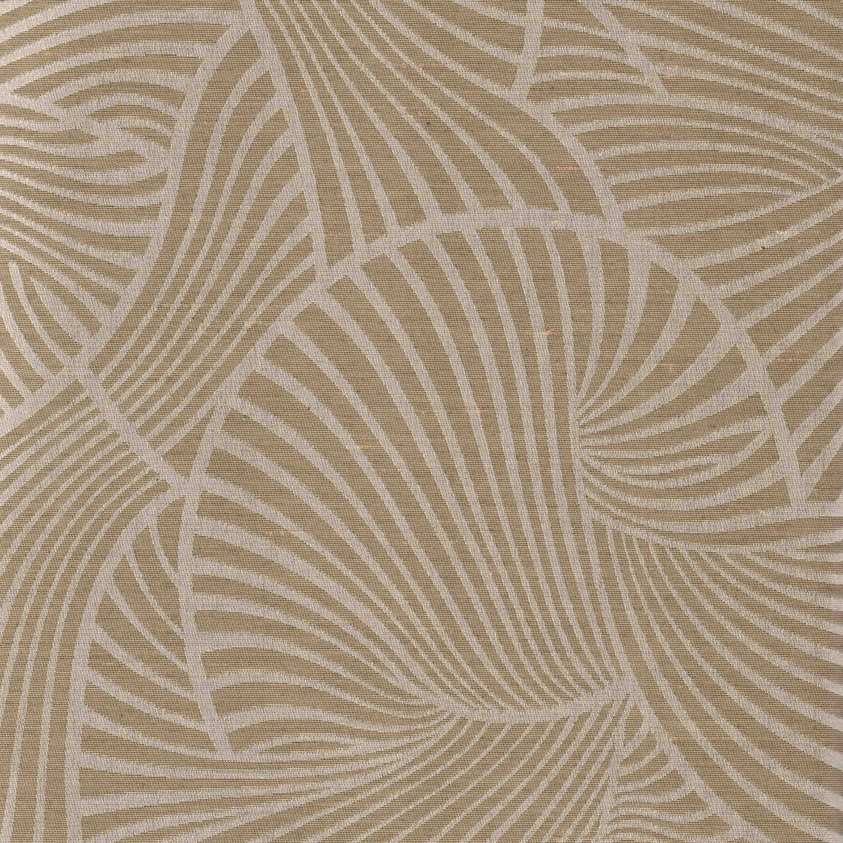Shells: SZY-0311 - Cream