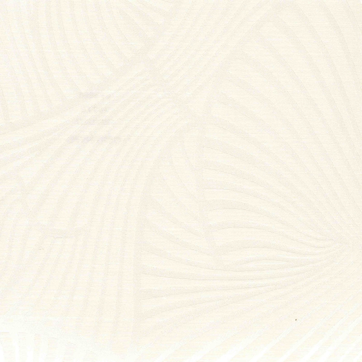 Shells — Dream