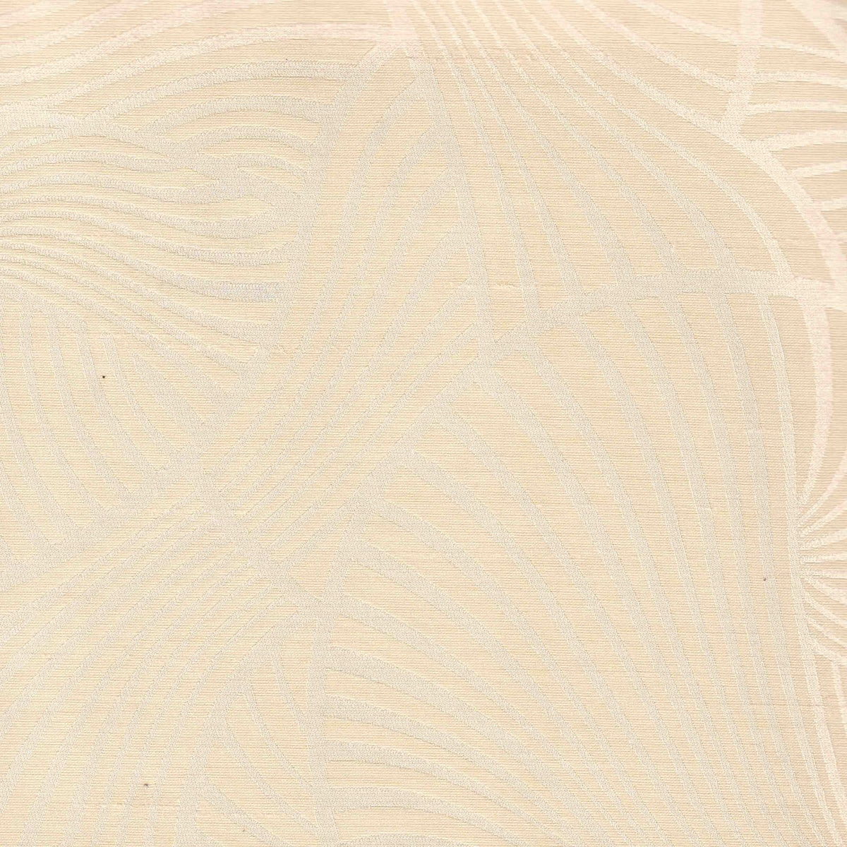 Shells: SZY-0311 - Cream