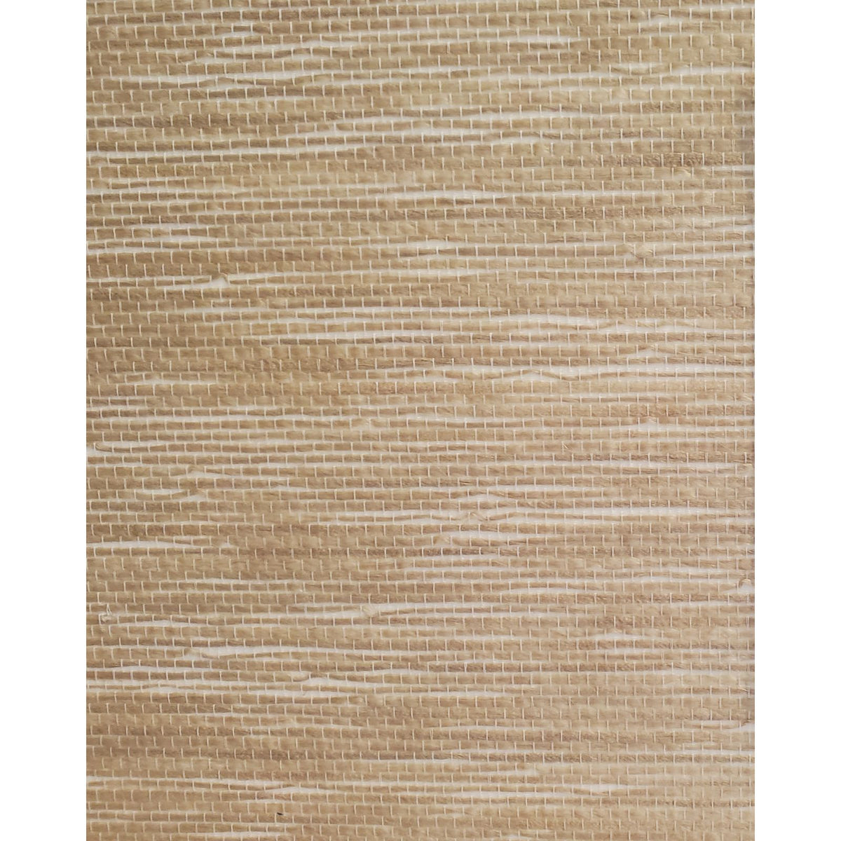 Scout: SZY-0329 - Tan