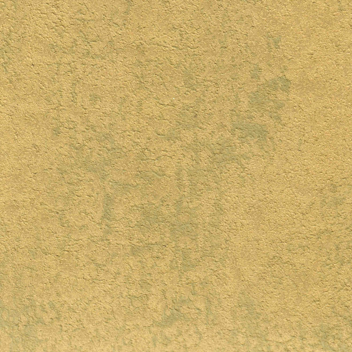 Textured: Daisy — SZY-0338